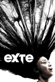 Exte: Hair Extensions